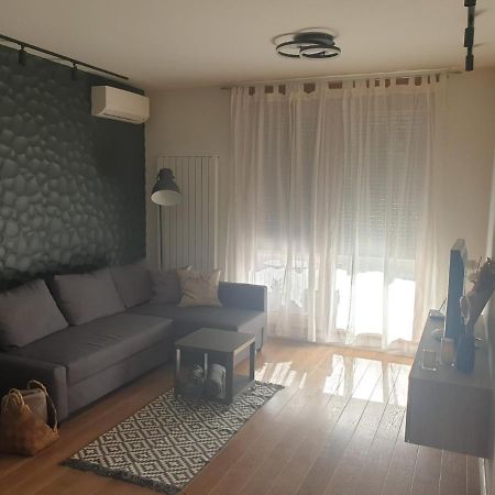 Apartment Mona Belgrade Extérieur photo