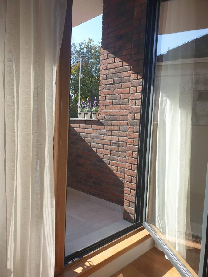 Apartment Mona Belgrade Extérieur photo